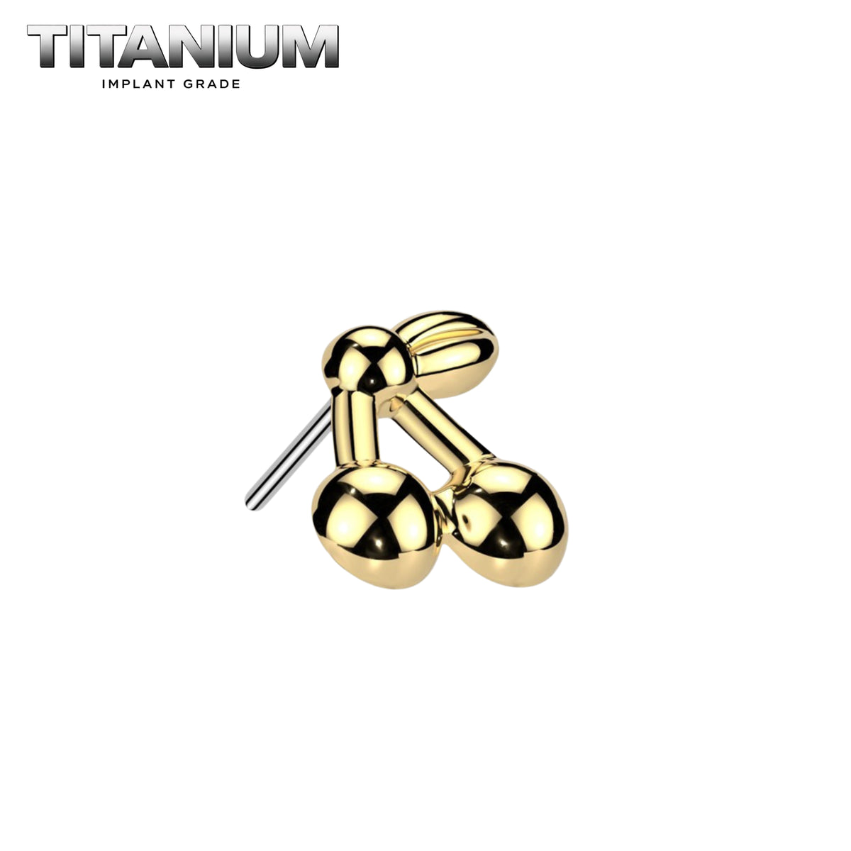 Nose Ring Titanium - 42.png