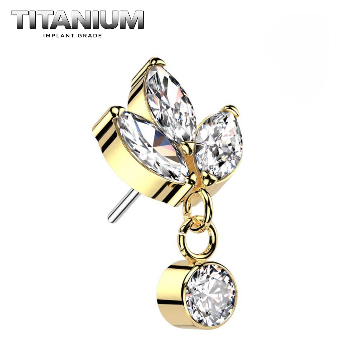 Nose Ring Titanium - 45.png