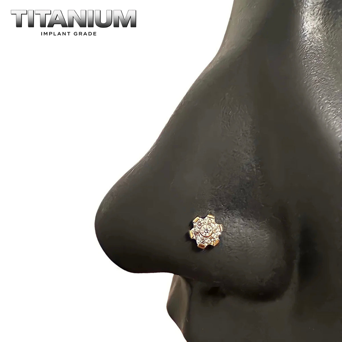 Nose Ring Titanium - 62.png
