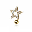 Belly Rings (7).png