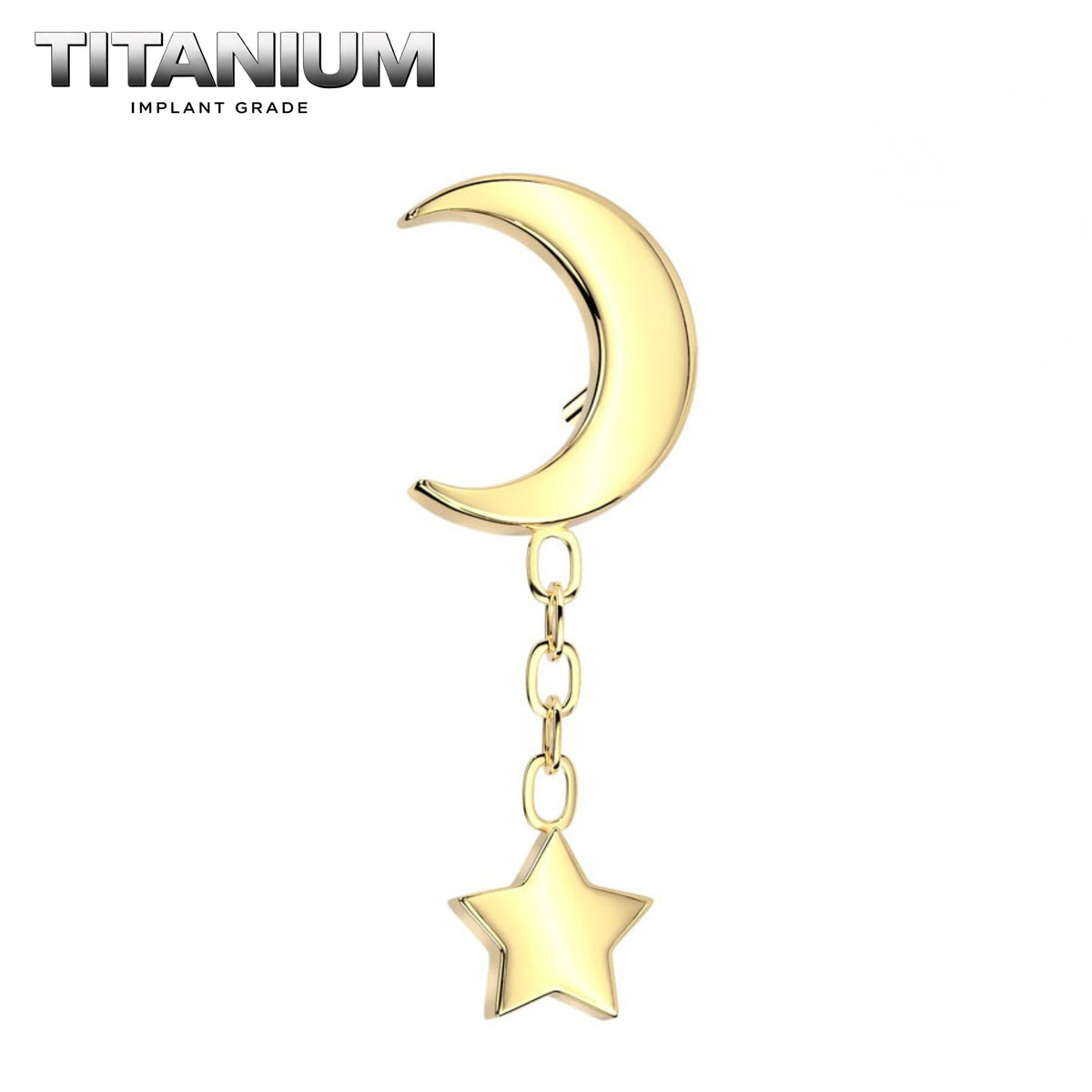 Nose Ring Titanium.png