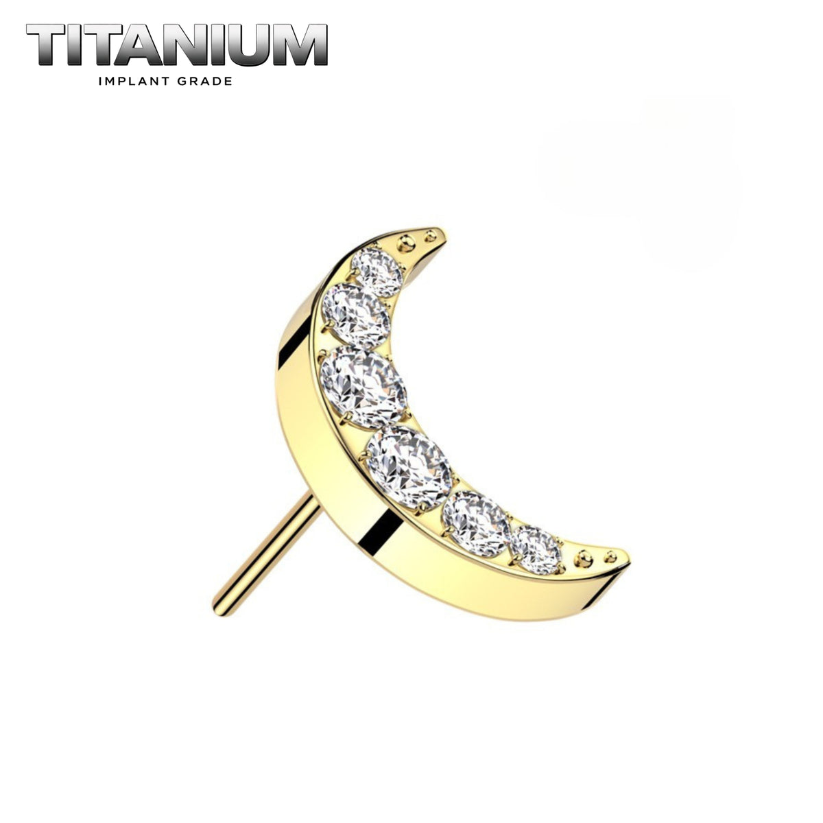 Nose Ring Titanium - 43.png