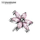 Nose Ring Titanium - 46.png