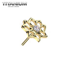 Nose Ring Titanium - 50.png