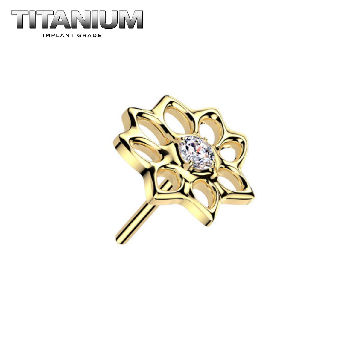 Nose Ring Titanium - 50.png