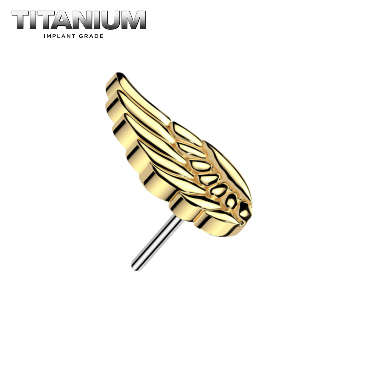 Nose Ring Titanium - 51.png