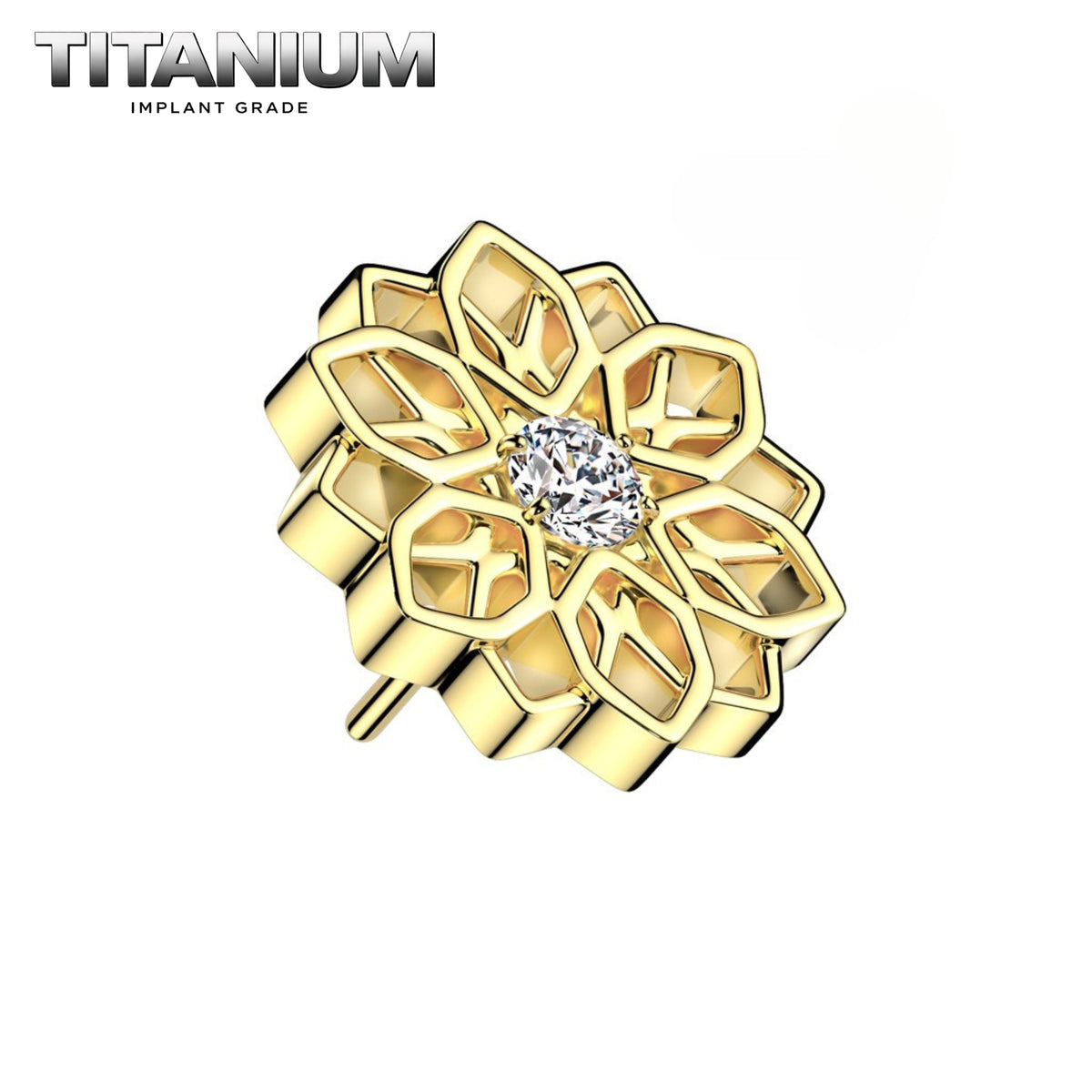 Nose Ring Titanium - 54.png