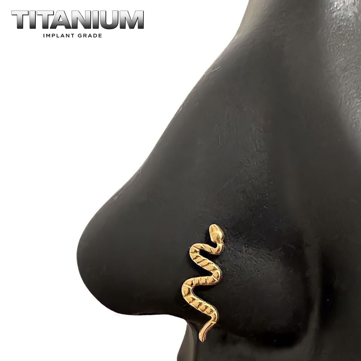 Nose Ring Titanium - 61.png