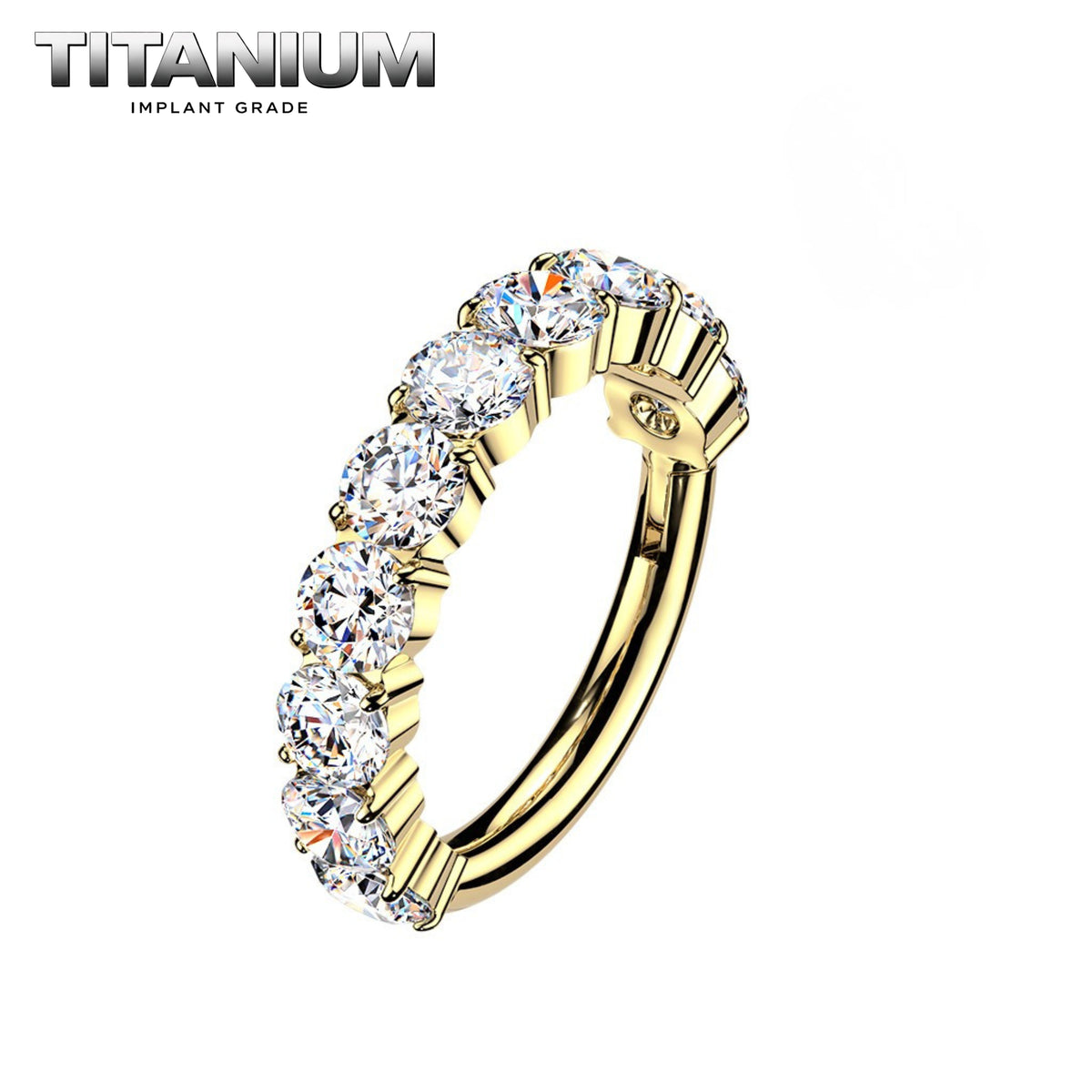 Nose Ring Titanium (5).png